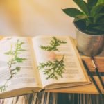 What You Need to Know About Constructed Languages