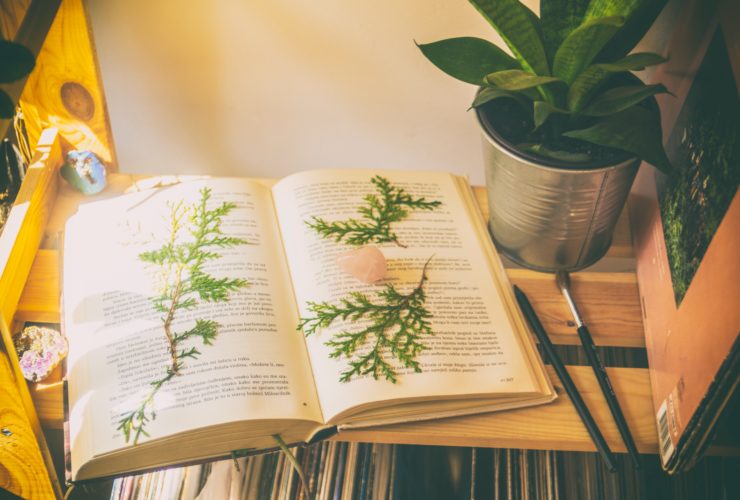 What You Need to Know About Constructed Languages